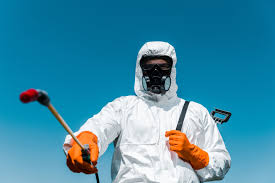 Indoor Pest Control in Pirtleville, AZ